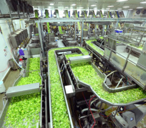 Food Processing Industry