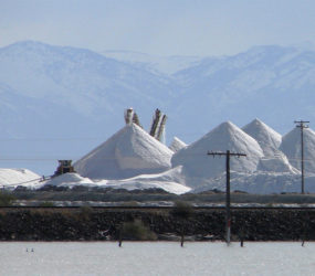 Salt Industry